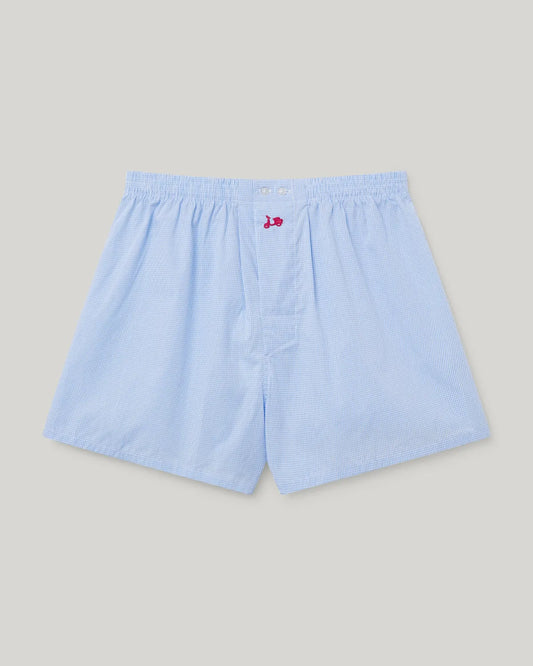 Calzoncillos vichy orgánico celeste | SCOTTA